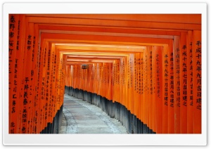 Fushimi Inari Taisha, Kyoto, Japan Ultra HD Wallpaper for 4K UHD Widescreen desktop, tablet & smartphone