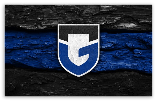Gamba Osaka Wooden Logo UltraHD Wallpaper for Widescreen 16:10 ;