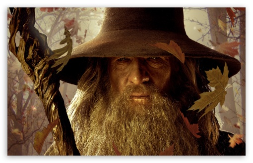 Harrison Ford As Gandalf in Lord of the Rings Portrait · Creative Fabrica