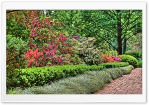 Garden HDR Ultra HD Wallpaper for 4K UHD Widescreen desktop, tablet & smartphone