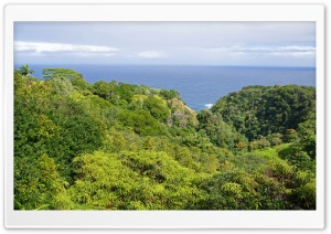 Garden Of Eden Arboretum Maui, Hawaii Ultra HD Wallpaper for 4K UHD Widescreen desktop, tablet & smartphone