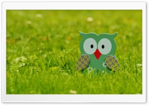 Garden Owl Decoration Ultra HD Wallpaper for 4K UHD Widescreen desktop, tablet & smartphone