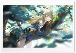 Genshin Impact, Kirara nekomata 4K UHD Wallpaper for Widescreen and UltraWide Desktop, UltraHD TV, Smartphone, Tablet