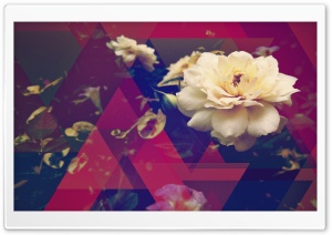 Geometric Nature Ultra HD Wallpaper for 4K UHD Widescreen desktop, tablet & smartphone