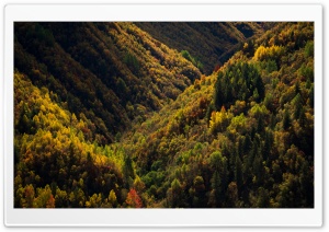 Georgia Fall Colors Ultra HD Wallpaper for 4K UHD Widescreen desktop, tablet & smartphone