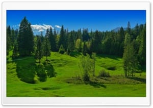 Geotope Buckelwiesen Dolines at Geibschadel Northeast of Klais 4K UHD Wallpaper for Widescreen and UltraWide Desktop, UltraHD TV, Smartphone, Tablet
