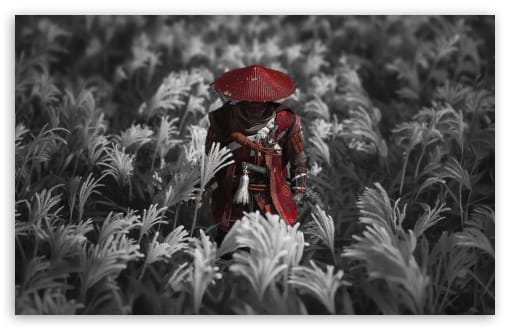 Ghost of Tsushima Jin Sakai Crimson Armor in Pampas Grass UltraHD Wallpaper for UHD 16:9 ; HD 16:9 ; UltraWide 21:9 24:10 32:9 32:10 ; Widescreen 16:10 ; Tablet 1:1 ; Mobile 9:16 9:19.5 9:20 ; Dual 16:10 16:9 ;