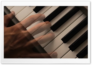 Ghost on Piano Ultra HD Wallpaper for 4K UHD Widescreen desktop, tablet & smartphone