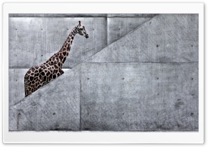 Giraffe Climbing Stairs Ultra HD Wallpaper for 4K UHD Widescreen desktop, tablet & smartphone