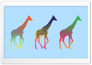 Giraffes Ultra HD Wallpaper for 4K UHD Widescreen desktop, tablet & smartphone