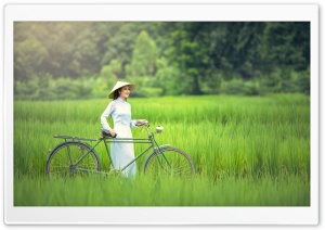 Girl, Bicycle, Rice Field Landscape Ultra HD Wallpaper for 4K UHD Widescreen desktop, tablet & smartphone