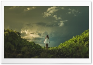 Girl, Field, Storm Clouds Ultra HD Wallpaper for 4K UHD Widescreen desktop, tablet & smartphone