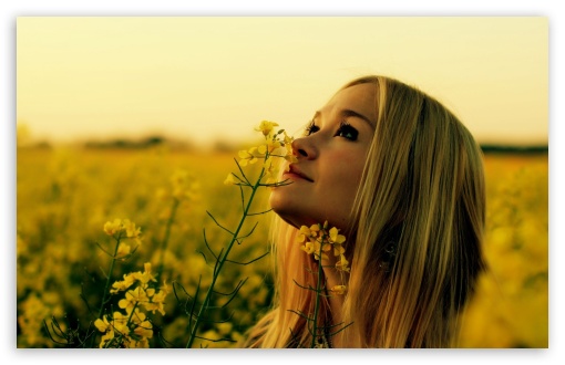 Girl, Rapeseed Field UltraHD Wallpaper for Widescreen 16:10 ;