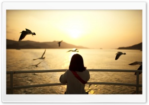 Girl Watching The Sunset Ultra HD Wallpaper for 4K UHD Widescreen desktop, tablet & smartphone