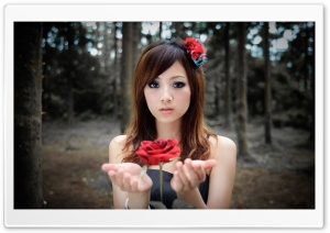 Girl With Flower Ultra HD Wallpaper for 4K UHD Widescreen desktop, tablet & smartphone