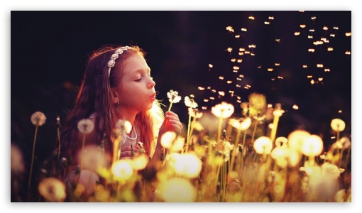 girl with flower 4K UHD Background Wallpaper for UltraHD Desktop and TV