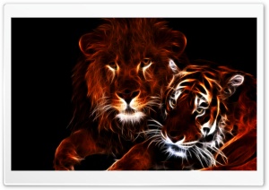 Glowing Lion and Tiger Ultra HD Wallpaper for 4K UHD Widescreen desktop, tablet & smartphone