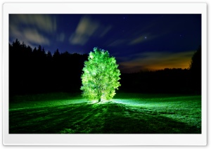 Glowing Tree Ultra HD Wallpaper for 4K UHD Widescreen desktop, tablet & smartphone