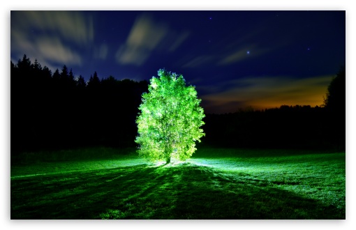 https://hd.wallpaperswide.com/thumbs/glowing_tree-t2.jpg