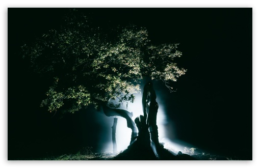 Glowing Tree by Night UltraHD Wallpaper for UHD 16:9 ; HD 16:9 ; Widescreen 16:10 5:3 ; Fullscreen 4:3 ;