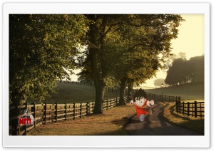 Goku Sunset Ultra HD Wallpaper for 4K UHD Widescreen desktop, tablet & smartphone