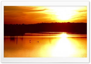 Gold Sunset Sky 10 Ultra HD Wallpaper for 4K UHD Widescreen desktop, tablet & smartphone