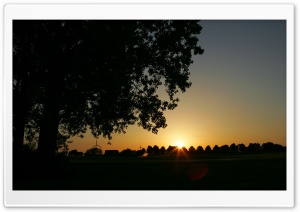 Gold Sunset Sky 15 4K UHD Wallpaper for Widescreen and UltraWide Desktop, UltraHD TV, Smartphone, Tablet