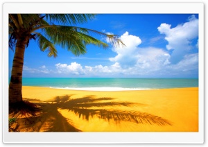 Golden Beach Ultra HD Wallpaper for 4K UHD Widescreen desktop, tablet & smartphone