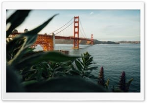 Golden Gate Bridge San Francisco 4K UHD Wallpaper for Widescreen and UltraWide Desktop, UltraHD TV, Smartphone, Tablet
