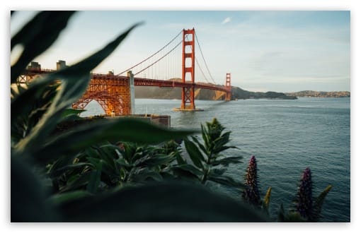Golden Gate Bridge San Francisco UltraHD Wallpaper for UHD 16:9 ; HD 16:9 ; UltraWide 21:9 24:10 32:9 32:10 ; Widescreen 16:10 ; Fullscreen 3:2 ; Tablet 1:1 ; Mobile 9:16 9:19.5 9:20 9:21 9:22 ; Dual 16:10 16:9 ;