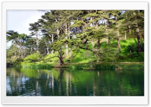 Golden Gate Park   Stow Lake   San Francisco Ultra HD Wallpaper for 4K UHD Widescreen desktop, tablet & smartphone