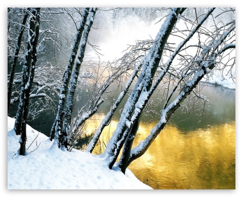 Golden Lake, Winter UltraHD Wallpaper for Standard 5:4 Fullscreen QSXGA SXGA ; Mobile 5:4 - QSXGA SXGA ;