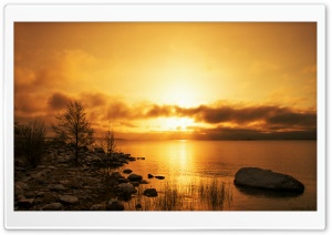 Golden Morning Ultra HD Wallpaper for 4K UHD Widescreen desktop, tablet & smartphone