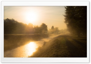 Golden Morning Mist Ultra HD Wallpaper for 4K UHD Widescreen desktop, tablet & smartphone