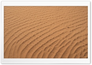 Golden Sand Dunes Wahiba Sands Oman 4K UHD Wallpaper for Widescreen and UltraWide Desktop, UltraHD TV, Smartphone, Tablet
