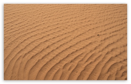 Golden Sand Dunes Wahiba Sands Oman UltraHD Wallpaper for UHD 16:9 ; HD 16:9 ; UltraWide 21:9 24:10 32:9 32:10 ; Widescreen 16:10 ; Fullscreen 3:2 ; Tablet 1:1 ; Mobile 9:16 9:19.5 9:20 9:21 9:22 ; Dual 16:10 16:9 ; Triple 16:10 16:9 ;