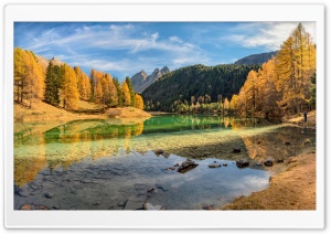 Golden Season 4K UHD Wallpaper for Widescreen and UltraWide Desktop, UltraHD TV, Smartphone, Tablet