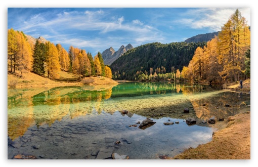 Golden Season UltraHD Wallpaper for UHD 16:9 ; HD 16:9 ; UltraWide 21:9 24:10 32:9 32:10 ; Widescreen 16:10 5:3 ; Fullscreen 4:3 5:4 3:2 ; Tablet 1:1 ; Mobile 9:16 9:19.5 9:20 9:21 9:22 10:16 2:3 3:5 3:4 ; Dual 16:10 5:3 16:9 4:3 5:4 3:2 ;