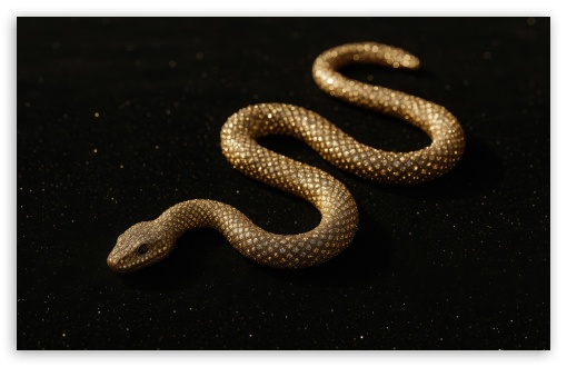 Golden Snake on Black Sand UltraHD Wallpaper for UHD 16:9 ; HD 16:9 ; UltraWide 21:9 24:10 ; Widescreen 16:10 5:3 ; Fullscreen 4:3 5:4 3:2 ; Tablet 1:1 ;