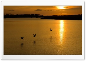 Golden Sunset Lake Ultra HD Wallpaper for 4K UHD Widescreen desktop, tablet & smartphone