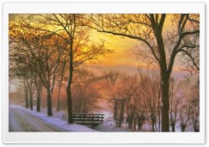 Golden Winter Sunset Ultra HD Wallpaper for 4K UHD Widescreen desktop, tablet & smartphone