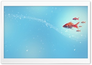 Goldfish Ultra HD Wallpaper for 4K UHD Widescreen desktop, tablet & smartphone