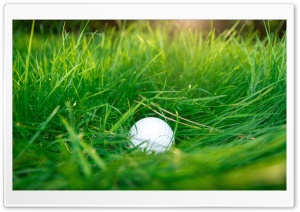 Golf Ball, Green Grass Ultra HD Wallpaper for 4K UHD Widescreen desktop, tablet & smartphone