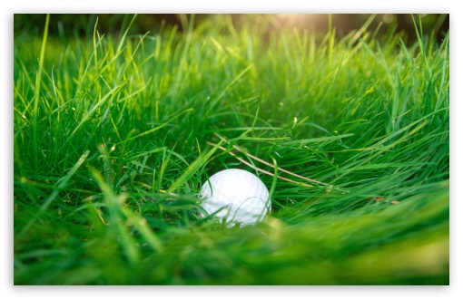 Golf Ball, Green Grass UltraHD Wallpaper for Wide 16:10 5:3 Widescreen WHXGA WQXGA WUXGA WXGA WGA ; UltraWide 21:9 24:10 ; 8K UHD TV 16:9 Ultra High Definition 2160p 1440p 1080p 900p 720p ; UHD 16:9 2160p 1440p 1080p 900p 720p ; Standard 4:3 5:4 3:2 Fullscreen UXGA XGA SVGA QSXGA SXGA DVGA HVGA HQVGA ( Apple PowerBook G4 iPhone 4 3G 3GS iPod Touch ) ; Smartphone 16:9 3:2 5:3 2160p 1440p 1080p 900p 720p DVGA HVGA HQVGA ( Apple PowerBook G4 iPhone 4 3G 3GS iPod Touch ) WGA ; Tablet 1:1 ; iPad 1/2/Mini ; Mobile 4:3 5:3 3:2 16:9 5:4 - UXGA XGA SVGA WGA DVGA HVGA HQVGA ( Apple PowerBook G4 iPhone 4 3G 3GS iPod Touch ) 2160p 1440p 1080p 900p 720p QSXGA SXGA ;
