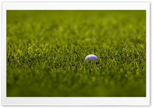 Golf Ball Macro Ultra HD Wallpaper for 4K UHD Widescreen desktop, tablet & smartphone