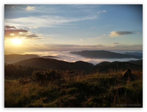 Good morning sunshine - Romania UltraHD Wallpaper for Fullscreen 4:3 ;