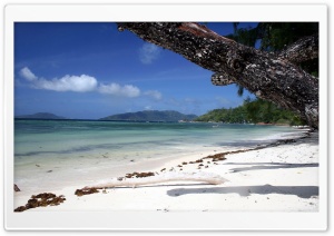 Gorgeous Beach Ultra HD Wallpaper for 4K UHD Widescreen desktop, tablet & smartphone