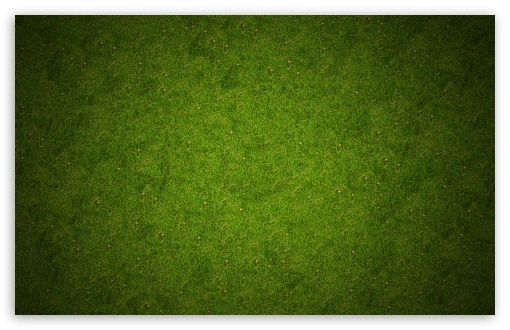 Grass UltraHD Wallpaper for 8K UHD TV 16:9 Ultra High Definition 2160p 1440p 1080p 900p 720p ; Widescreen 16:10 5:3 WHXGA WQXGA WUXGA WXGA WGA ; Fullscreen 4:3 5:4 3:2 UXGA XGA SVGA QSXGA SXGA DVGA HVGA HQVGA ( Apple PowerBook G4 iPhone 4 3G 3GS iPod Touch ) ; Tablet 1:1 ; Mobile 3:5 3:4 - ;