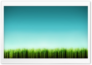 Grass Blades Ultra HD Wallpaper for 4K UHD Widescreen desktop, tablet & smartphone