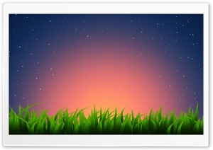 Grass Illustration Ultra HD Wallpaper for 4K UHD Widescreen desktop, tablet & smartphone